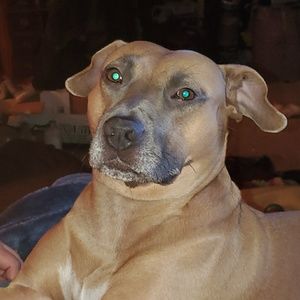 Meet your Posher, Antony